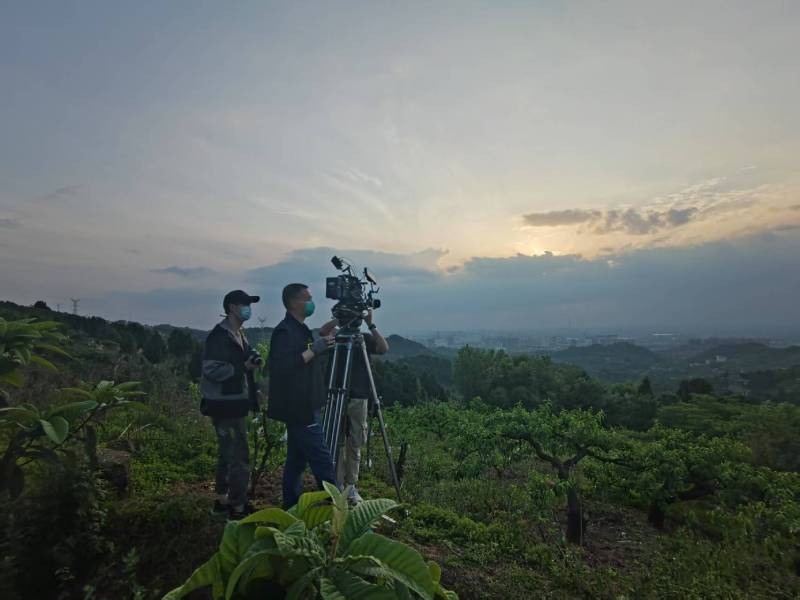创意破圈！莱西市电商产品宣传视频用故事化叙事引爆流量
