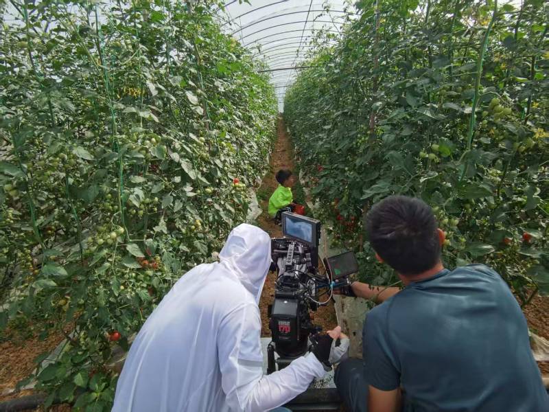 莱西市产品宣传视频拍摄公司进阶指南，助力品牌抢占传播高地